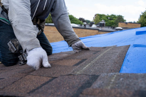 Professional Roofing Contractor in Pulaski, TN