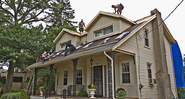 Best Gutter Installation and Roofing  in Pulaski, TN